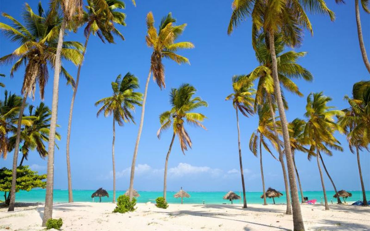 zanzibar zanzibar