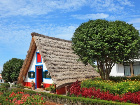 Madeira Madeira